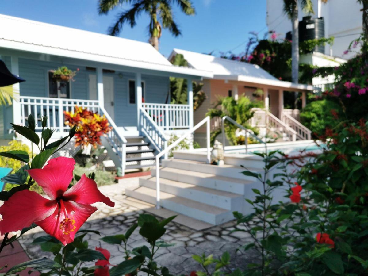 Harbour View Boutique Hotel & Yoga Retreat Belize City Ngoại thất bức ảnh
