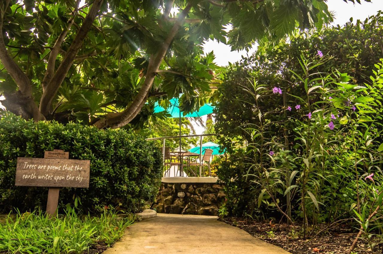 Harbour View Boutique Hotel & Yoga Retreat Belize City Ngoại thất bức ảnh